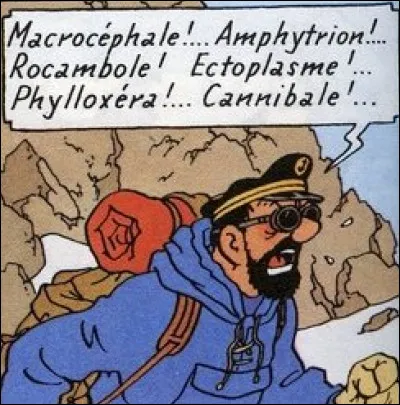 Le capitaine Haddock lorsqu'il s'énerve utilise un jargon plus que varié. Parmi ce vocabulaire que signifie ectoplasme ?