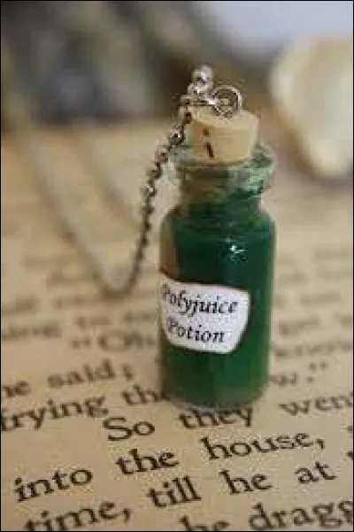 Combien de temps faut-il pour préparer la Potion de Polynectar ?