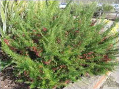 Au niveau de son exposition, il faut plutôt la mettre :