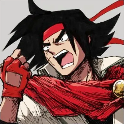 Dans l'anime de 1994 "Mobile Fighter G Gundam", quel est le surnom du héros Domon Kash ?