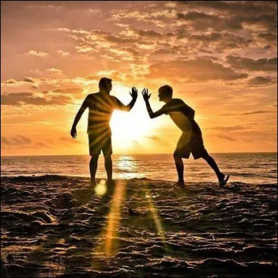 Niveau amiti&eacute;, tu es plut&ocirc;t...