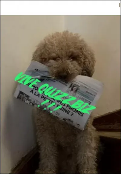 Quel est cet animal ?