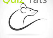 Quiz Rats