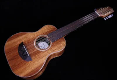 Quel est cet instrument de musique traditionnel hawaïen à cordes pincées ?