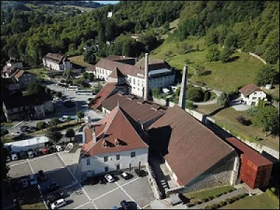 La Grande Saline s'étendait sur 2 hectares mais une partie des bâtiments a été détruite. Quel pourcentage est visible aujourd'hui ?