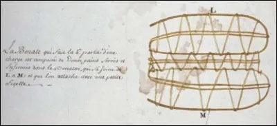 Le mot bénate désigne...