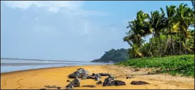 Lequel de ces départements d'outre-mer n'est pas une île ?