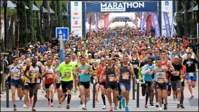 Mar comme Marathon : sur quelle distance se pratique cette épreuve sportive ?