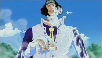 De quel type de Fruit Du Dmon possde Ao-Kiji ?