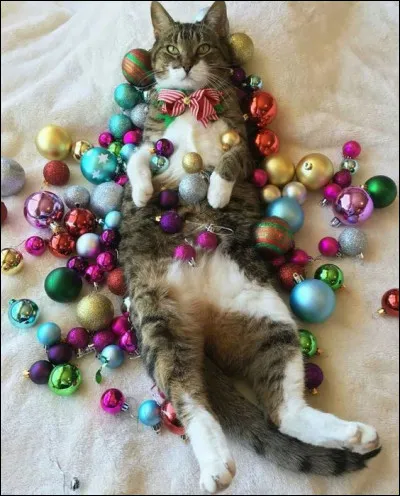 De quelle couleur sont les boules ?