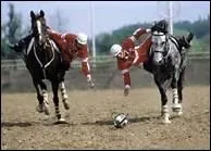 Combien y a-t-il de cavaliers dans chaque quipe de horse-ball ?