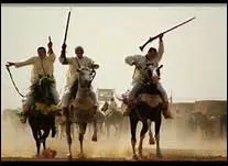 Comment s'appelle l'activit questre, pratique en Afrique du Nord, consitant  tirer un coup de fusil en l'air au grand galop ?