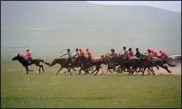 Quel nom porte la course mongole dans laquelle ne participent que les enfants ?