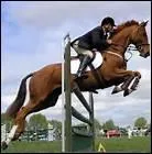 En CSO, au bout de combien de refus, le cheval et le cavalier sont disqualifis ?