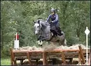 En plus du cross, que comporte le concours complet ?