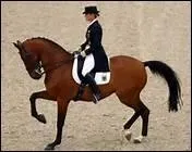 Quelles disciplines questres sont admises aux Jeux Olympiques ?