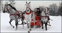 Comment appelle-t-on l'attelage sur la neige, pratiqu en Russie ?