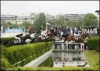 Quel type de course avec sauts d'obstacles passionne les Anglais pour sa dangerosit ?