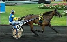 Quel attelage lger est utilis pour les courses de trot ?