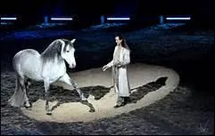 Quel spectacle rassemblant l'lite du spectacle questre se droule en janvier,  Avignon ?