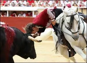 Quel sport trs controvers fait pourtant beaucoup d'aficionados ?