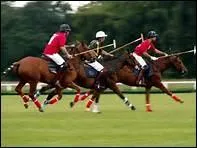 Quel sport trs dangereux se pratique avec une balle et un maillet ?