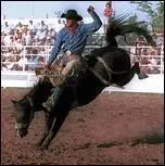 Combien de temps faut-il tenir pour gagner un rodo ?