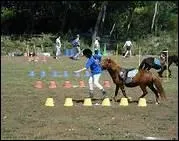 Quel est l'origine de ponygames ?