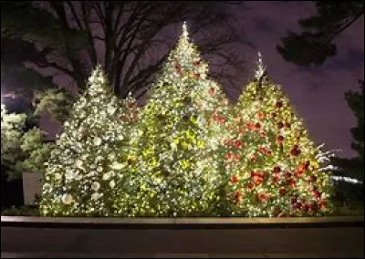 C'est Noël, comment réagis-tu ?