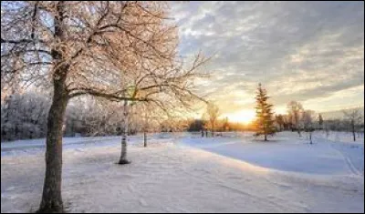 Que préfères-tu en hiver ?