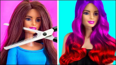 Qui sont les s�urs de Barbie ?