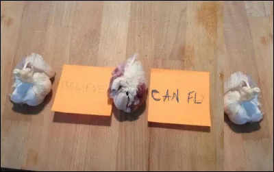 Et comme aurait dit Charlebois "Si j'avais les ailes d'un ange..."