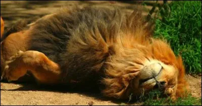 Allez tiens, une petite pause pour vous reposer les neurones !