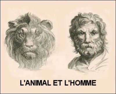 Et pour terminer, trouvez le titre de cette chanson grâce à cet indice : L'homme est un animal me dit-elle !