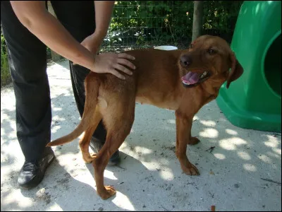 Est-ce que par hasard vous l'auriez vue ?