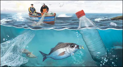 Selon toi, quelle est la pire conséquence de l'activité humaine sur l'océan ?