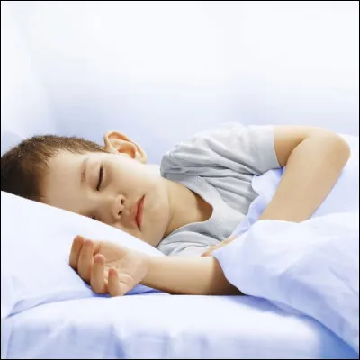 Si vous deviez choisir entre étudier et roupiller encore un peu dans l'Annexe. Votre choix se porterait sur...