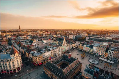 Dans quel pays dois-je me rendre pour visiter Lille ?
