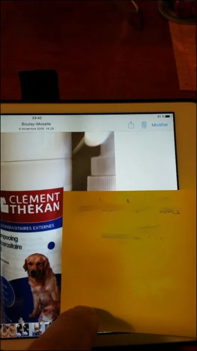 Franchement, on se le demande !