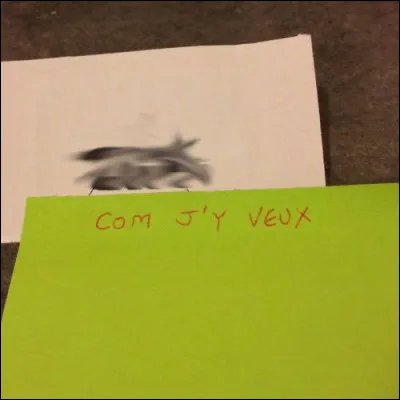 Garanti 100 % "Mède ine Tchaïna"...