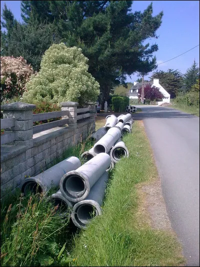 Le cossard était le nom usuel d'un oiseau : lequel ?