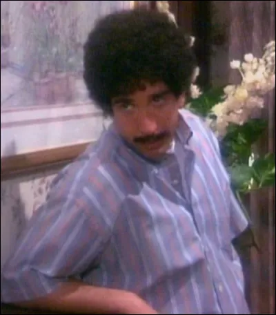 Lorsque les amis retrouvent une cassette du bal de promo de Rachel et Monica, Joey fait une comparaison sur les cheveux de Ross, laquelle ?