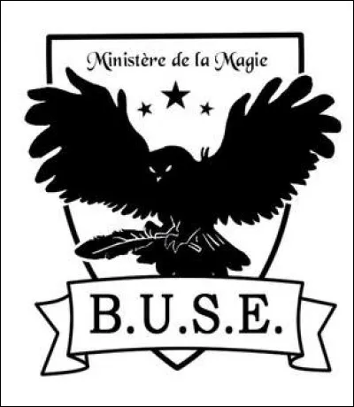 Tu as des examens dans pas longtemps. Que fais-tu ?