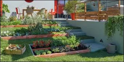 Faut-il arroser le potager le matin au printemps ?