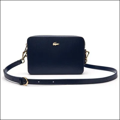 Quelqu'un que tu ne connais pas se fait voler son sac &agrave; main, que fais-tu ?