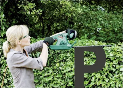 Je préfère la bavette...