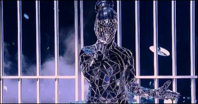 Qui se cachait sous le costume de la star internationale ?