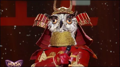 Qui se cachait sous le hibou, cinquième démasqué ?