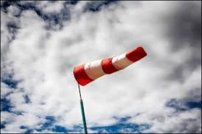 La lombarde est le nom :