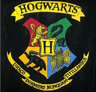 Quelle maison à Poudlard te convient le mieux ?